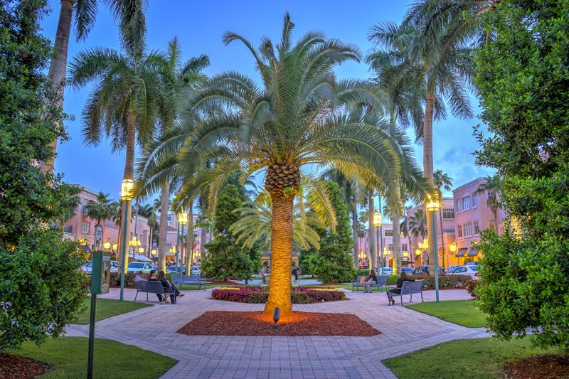 Palm trees line the main plaza of Mizner Park